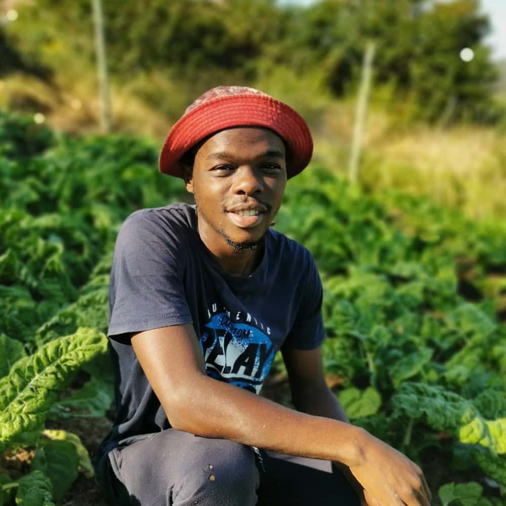 Food Security Programme